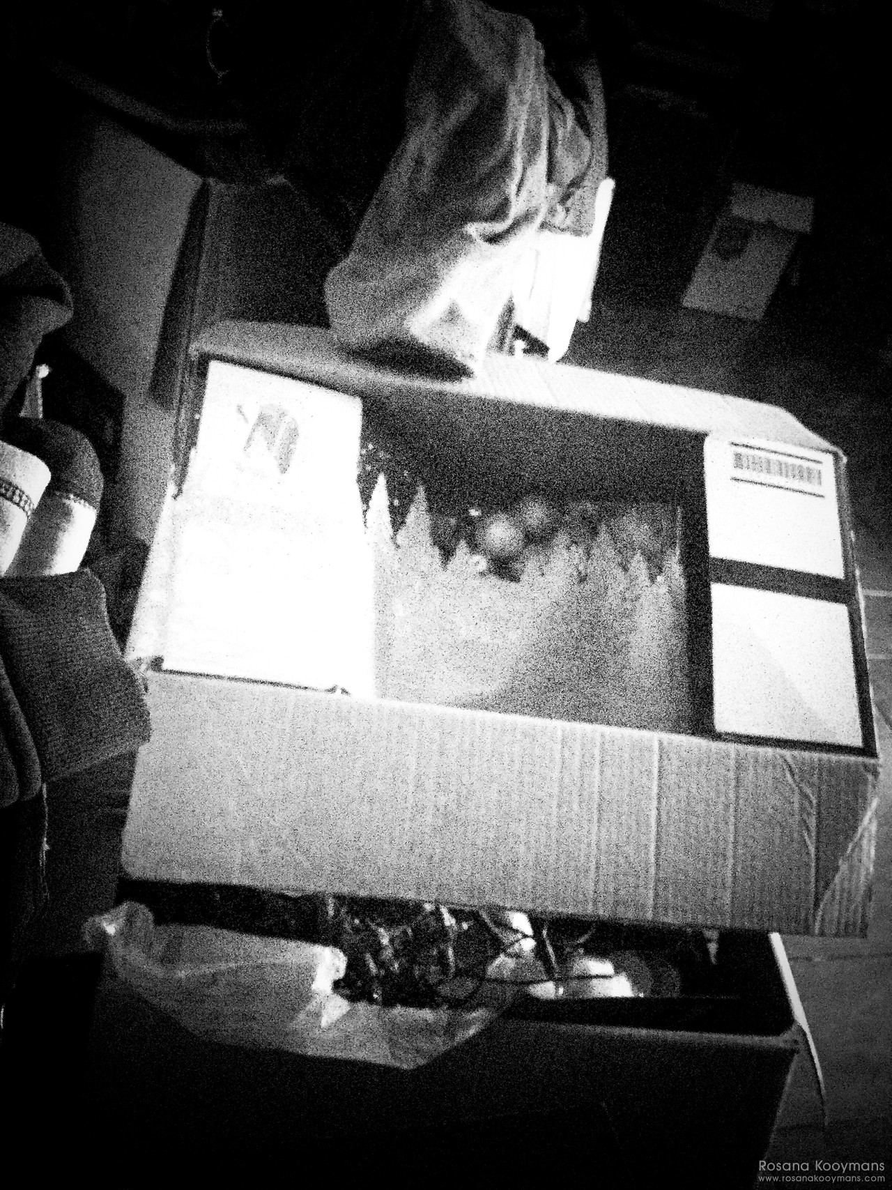 Christmas Stuff 365 - February 2, 2017: Christmas Stuff
