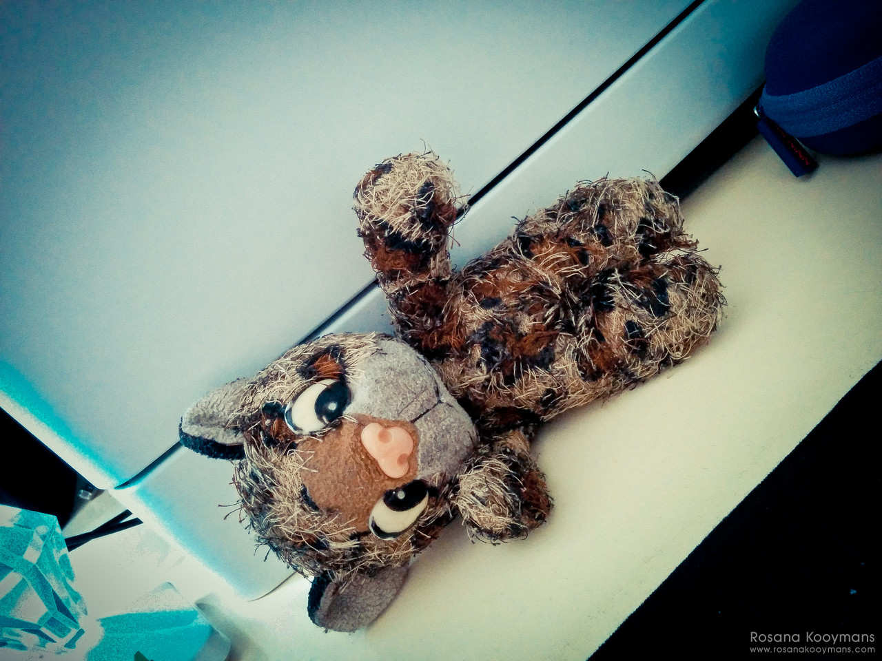 Junior at the studio 365 - February 15, 2017: studio office WWDWWD desk workplace workspace work