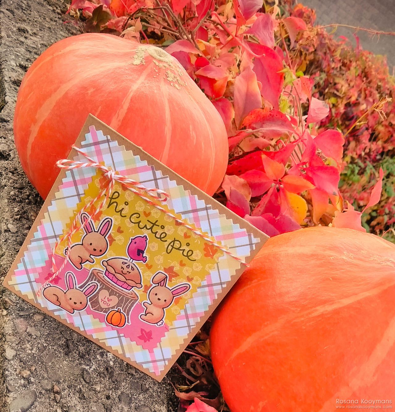 Lawn Fawnatics 38: Awesome Autumn Lawn Fawnatics 38: Awesome Autumn