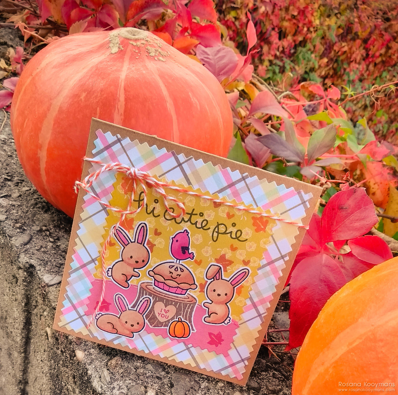 Lawn Fawnatics 38: Awesome Autumn Lawn Fawnatics 38: Awesome Autumn